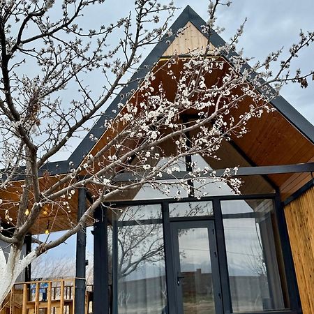 Coral Houses Tossor Zewnętrze zdjęcie