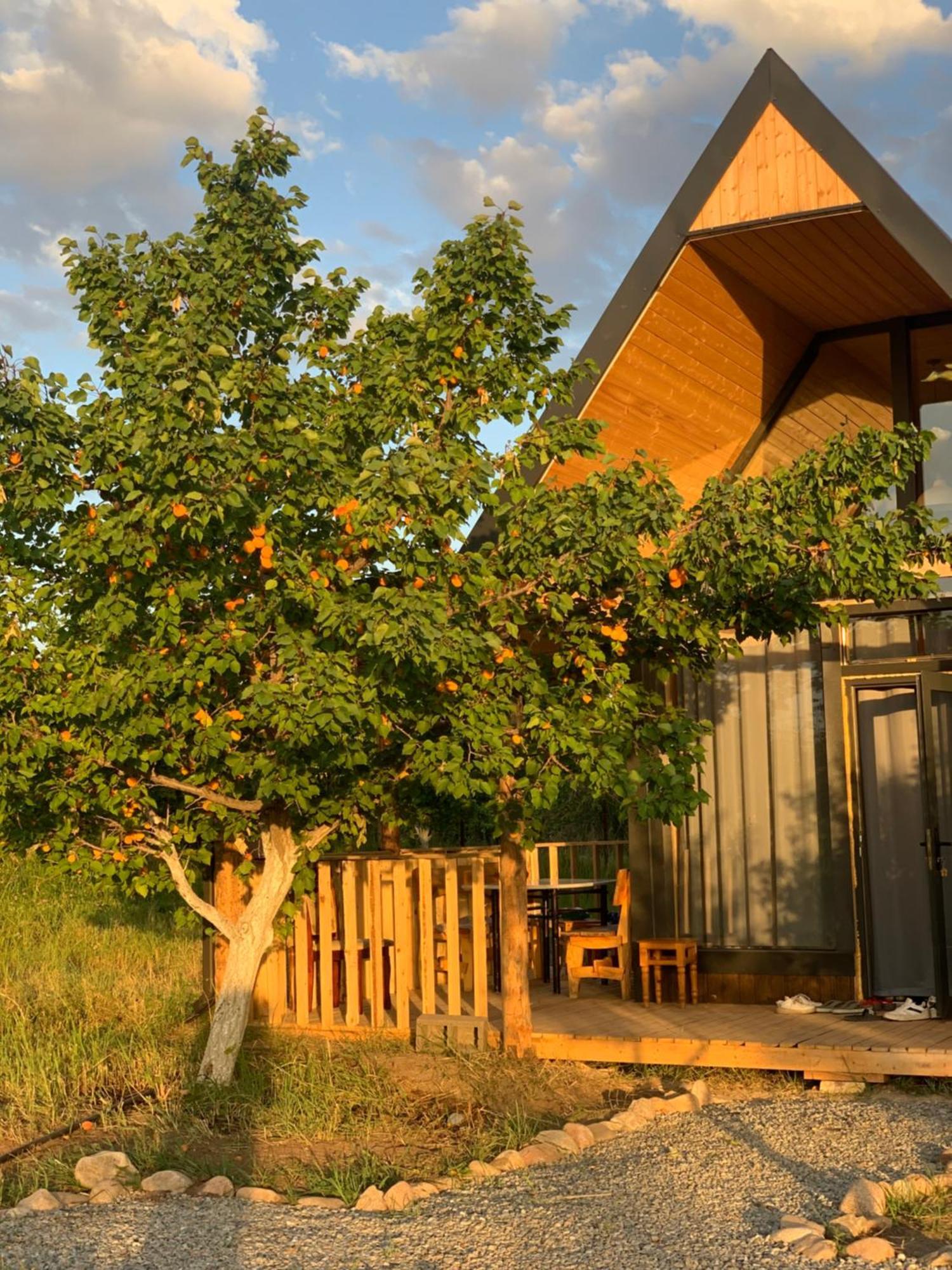 Coral Houses Tossor Zewnętrze zdjęcie